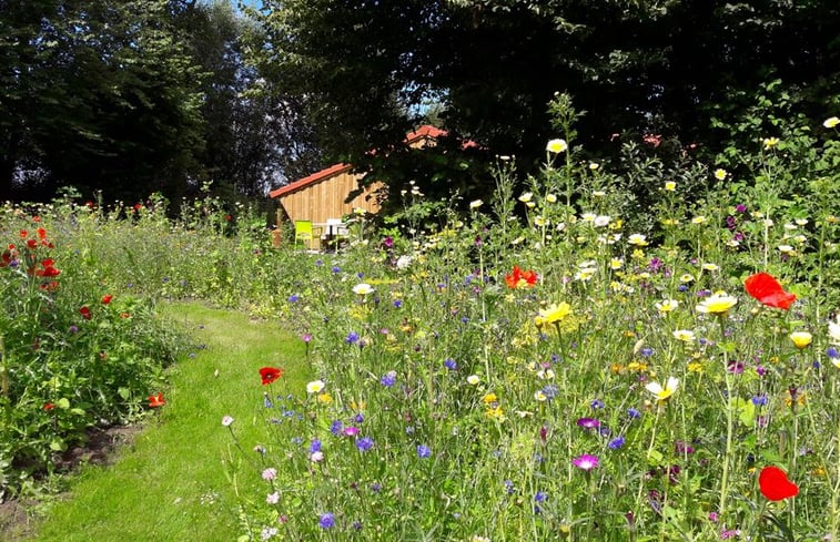 Natuurhuisje in Molenrij