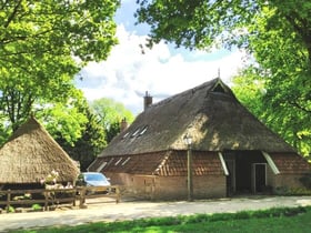 Natuurhuisje in Orvelte