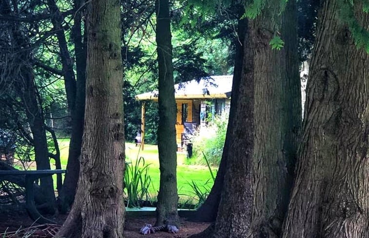 Naturhäuschen 66544 - Ferienhaus in Harkema | Naturhäuschen.de