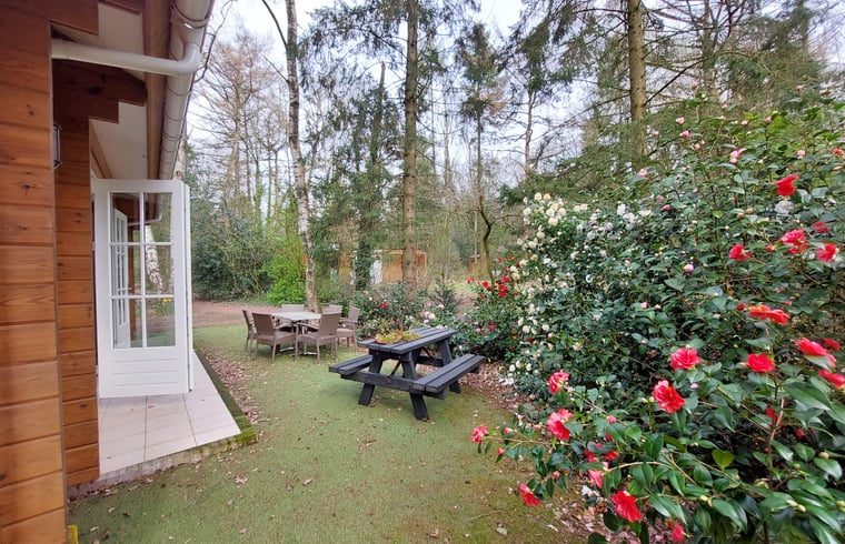 Bungalow in Ermelo — foto 2