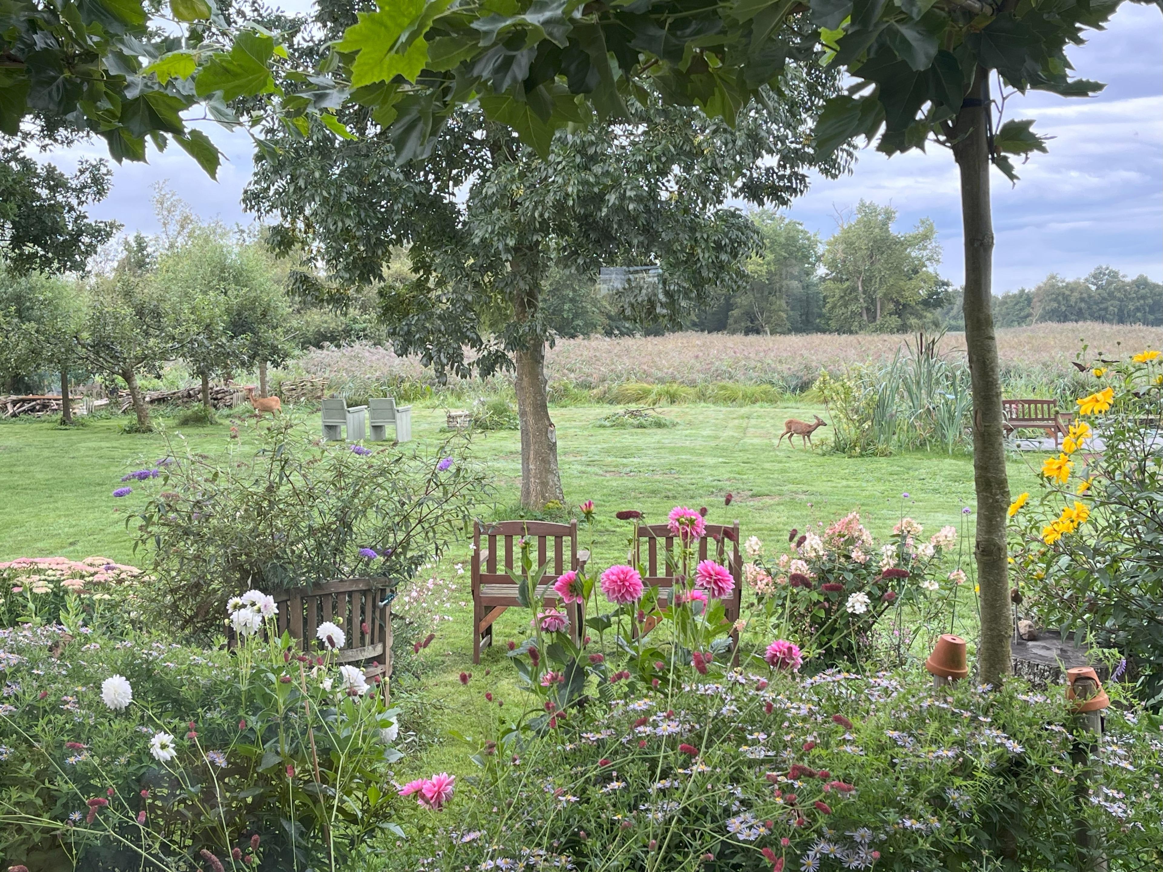 Natuurhuisje in Kalenberg