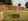 - image: 15