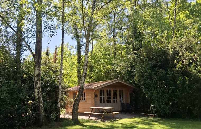 Natuurhuisje in Wesepe (Middel)