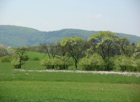 Naturhäuschen in Relsberg: 24