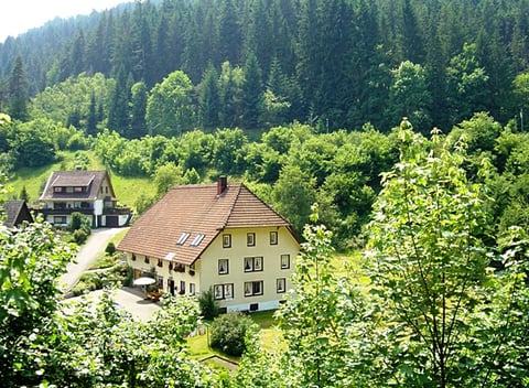 Natuurhuisje in Triberg im Schwarzwald
