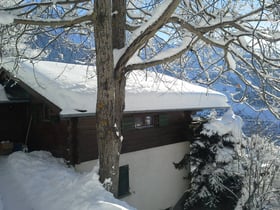 Maison nature dans Verbier