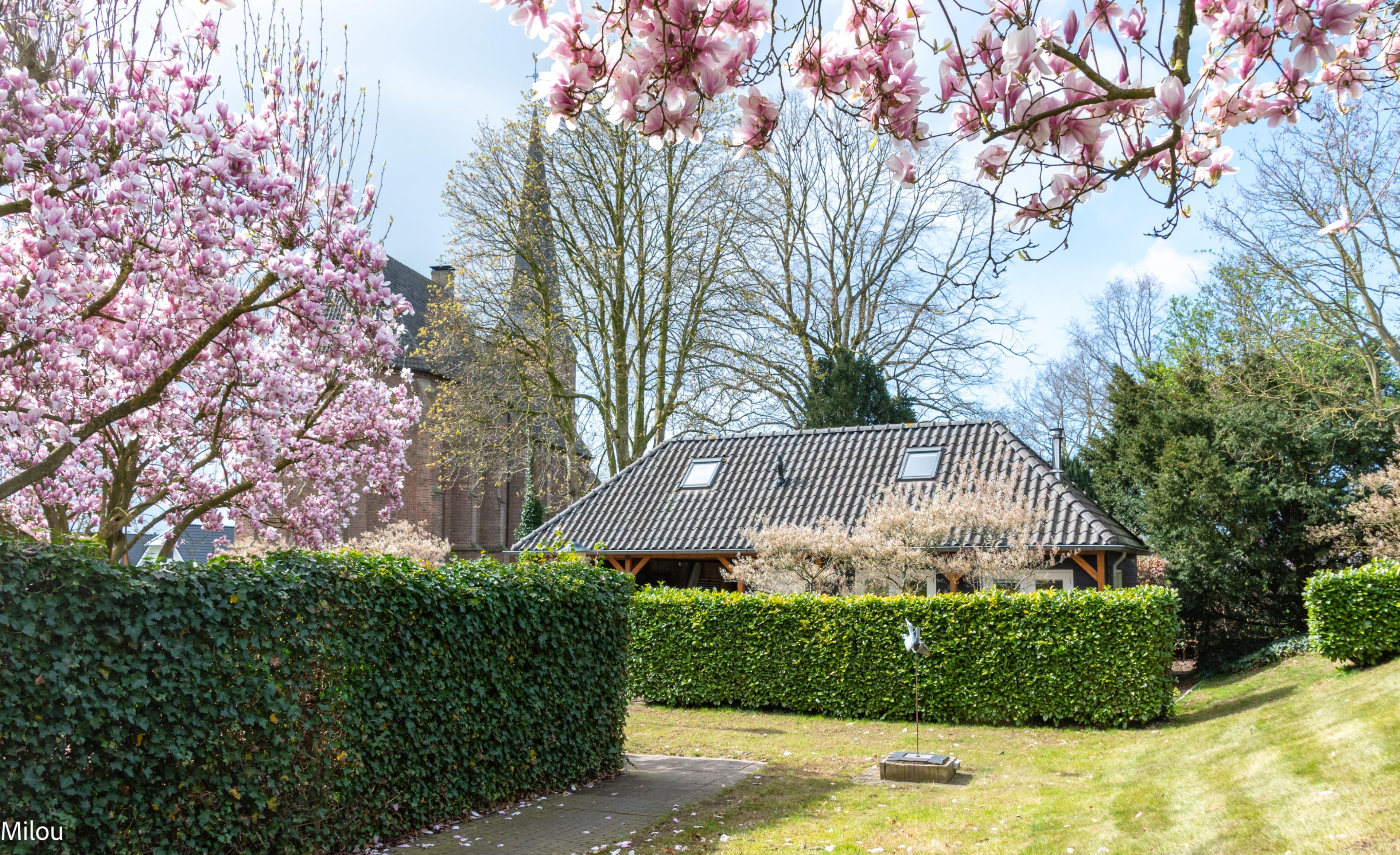 Natuurhuisje in Aerdt