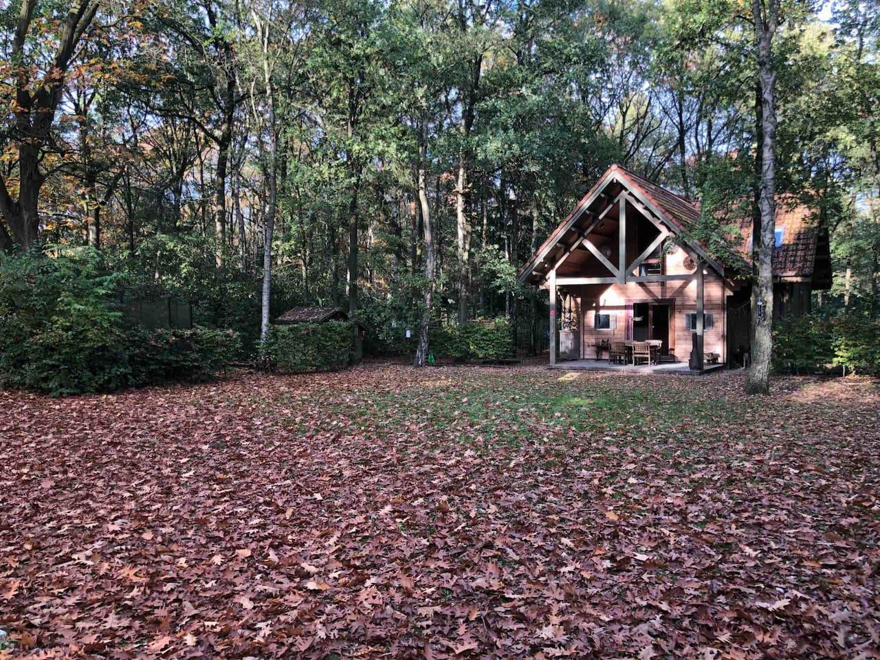 Natuurhuisje in Brasschaat
