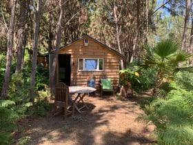 Nature house in Casais Serta (Cernache do Bonjardim / Castelo)