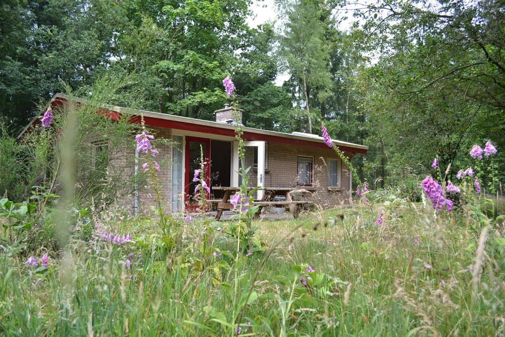 Maison nature à Elspeet