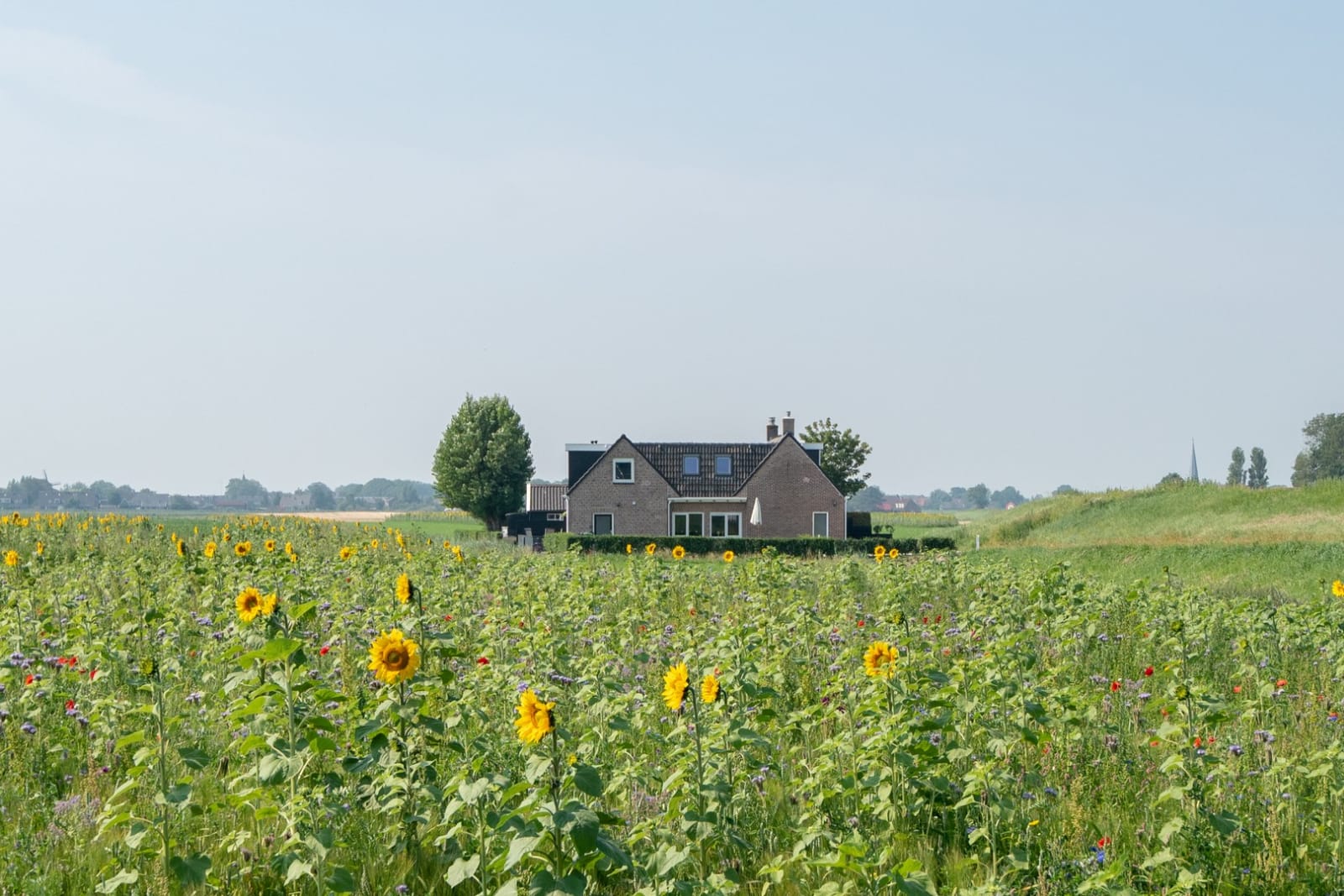 Natuurhuisje in Holwerd