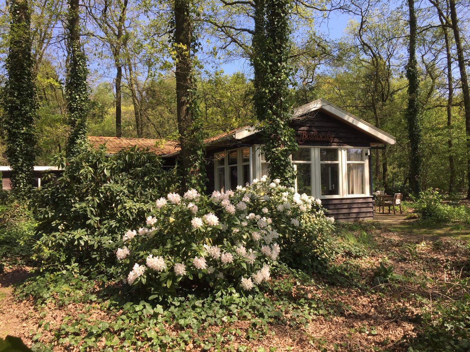 Nature house in Haaksbergen