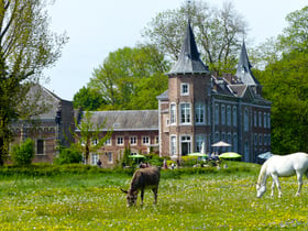 Maison nature à Sint-Truiden