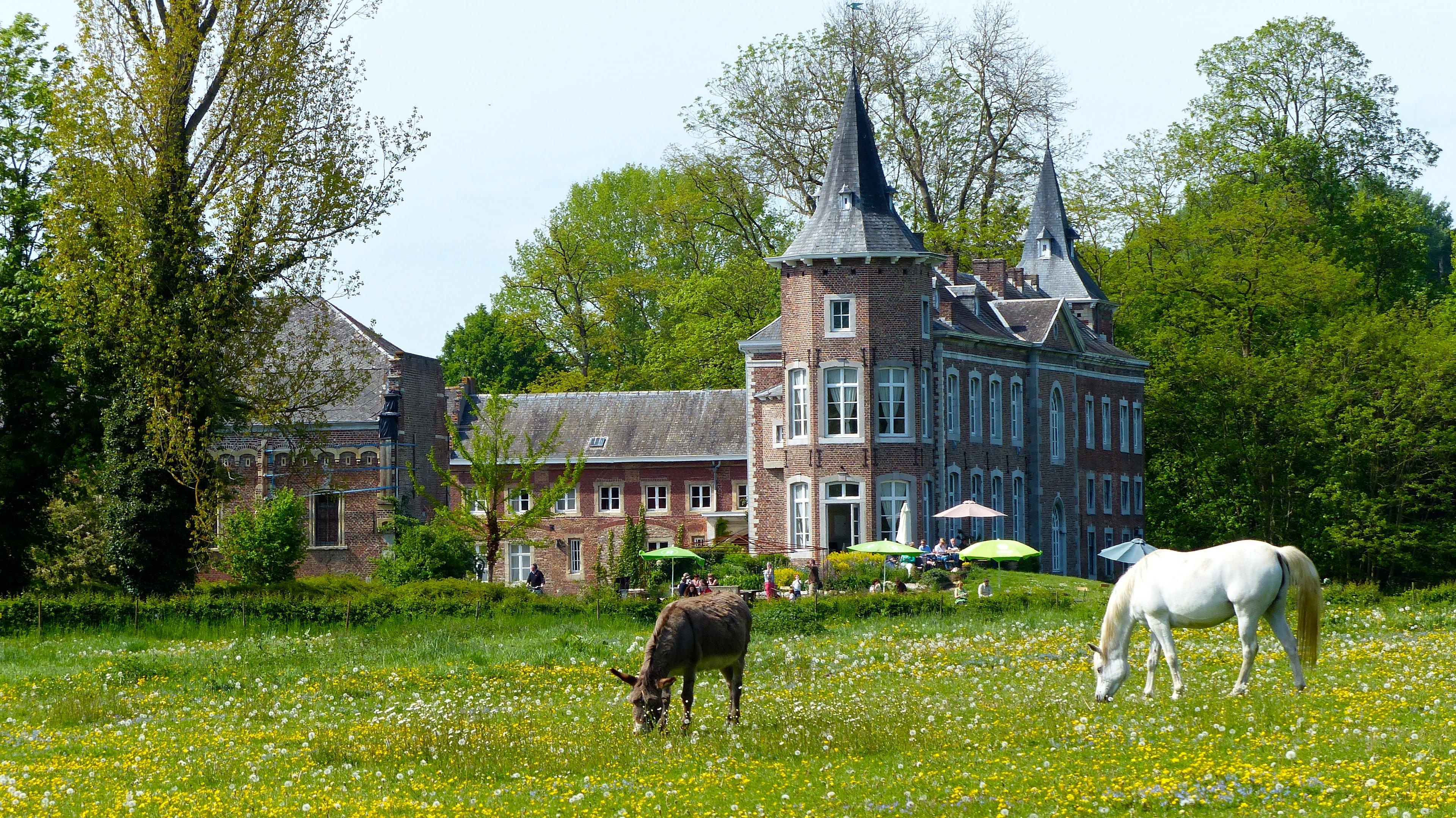 Nature house in Sint-Truiden