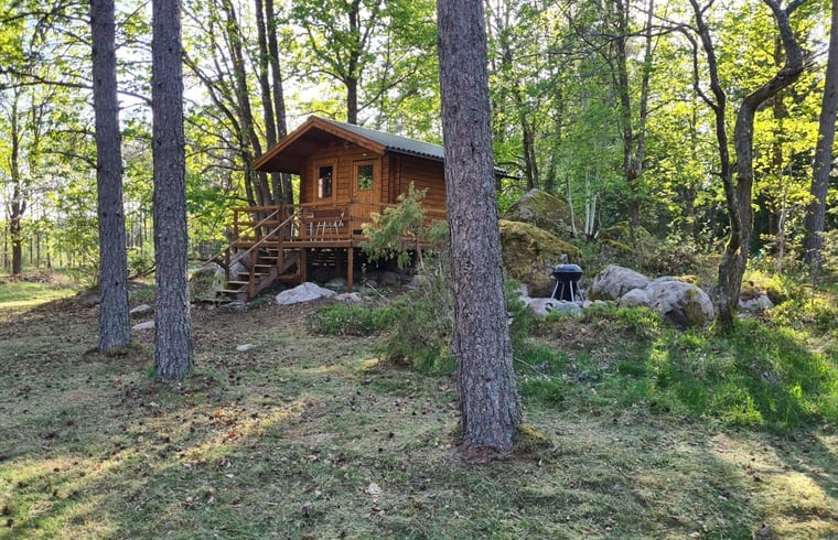 Blokhut in Tingsryd — foto 2