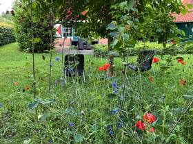 Maison nature à Lievelde