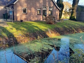 Casa nella natura a Elim