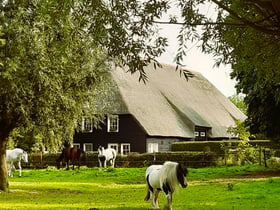 Casa nella natura a IJzendijke