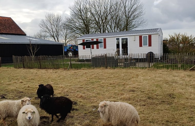 Natuurhuisje in Zonnemaire