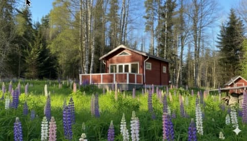 Nature house in Kopparberg