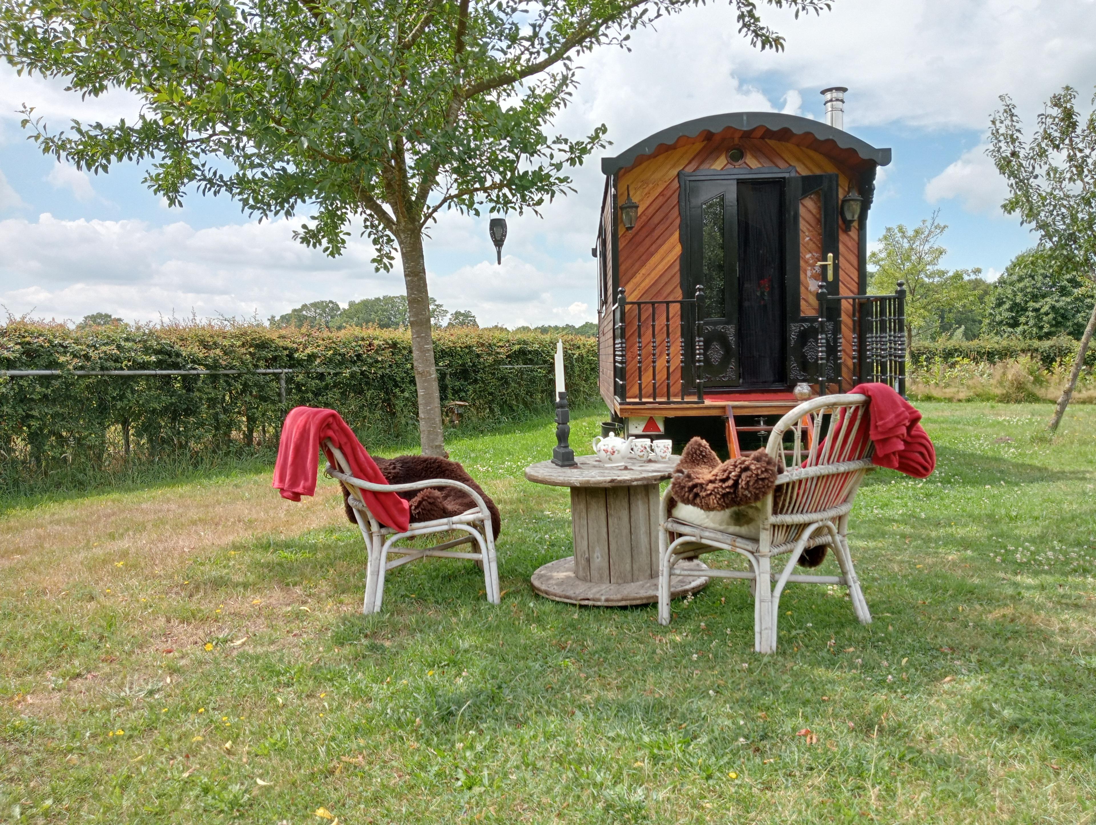 Maison nature à Geesteren