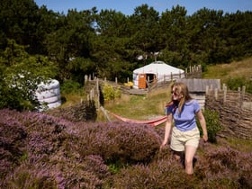 Casa nella natura a Den Hoorn