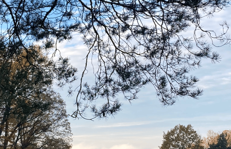 Natuurhuisje in Bad König