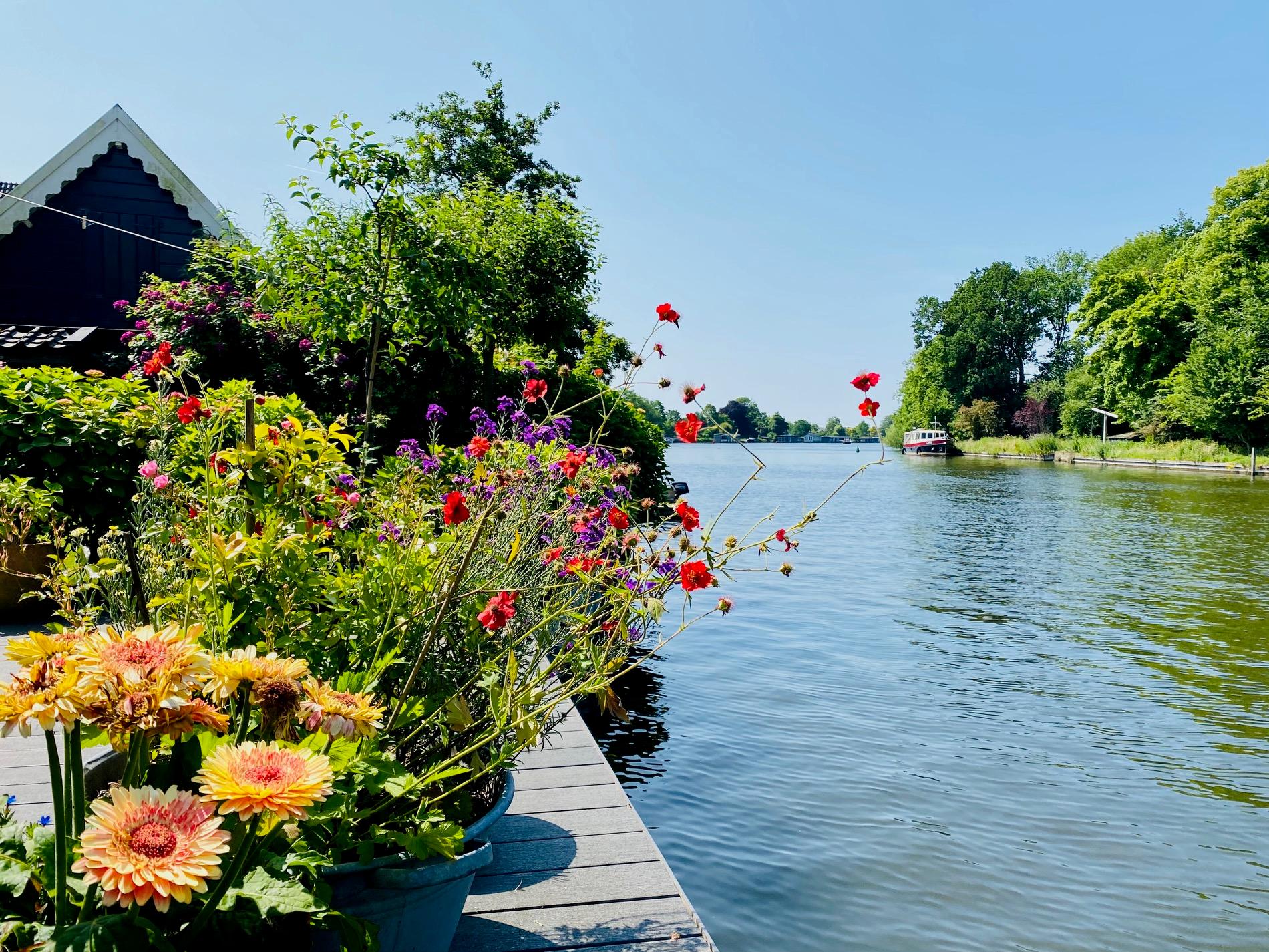Nature house in Loenen aan de Vecht