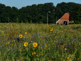 Nature house in Beckum, Hengelo OV