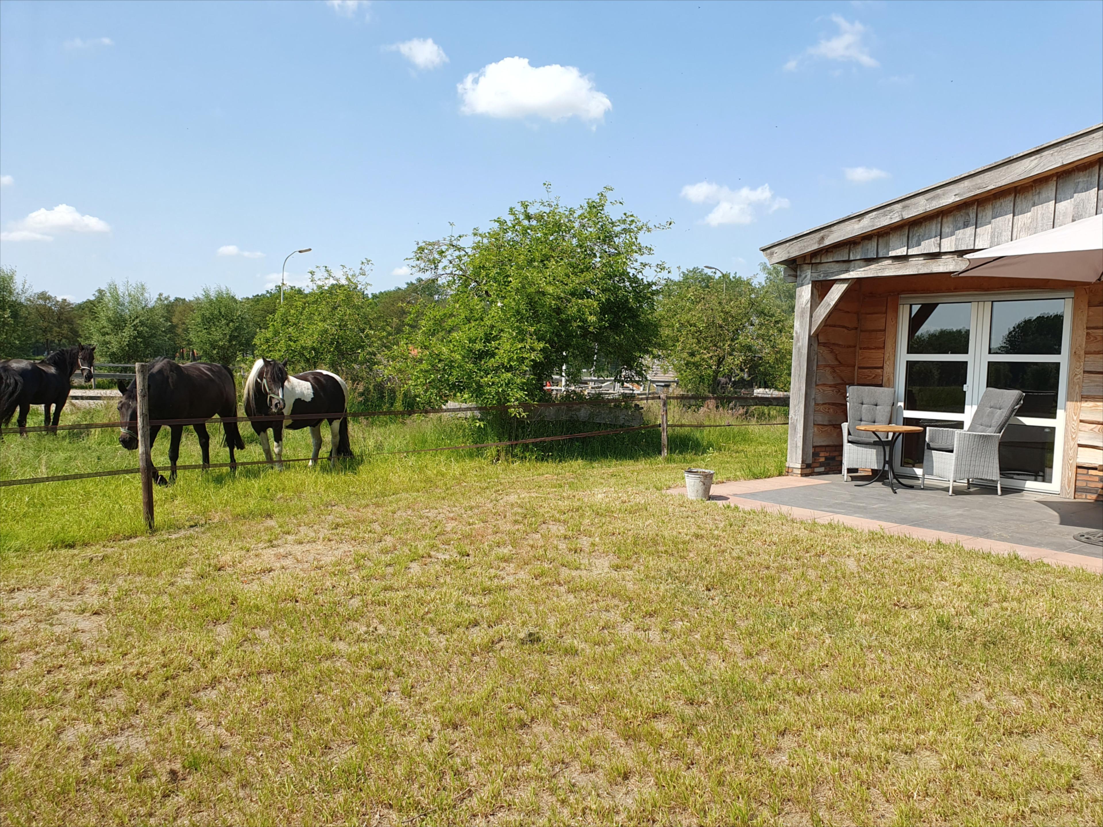Nature house in Barchem