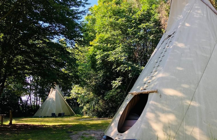 Natuurhuisje in Nijensleek / Frederiksoord