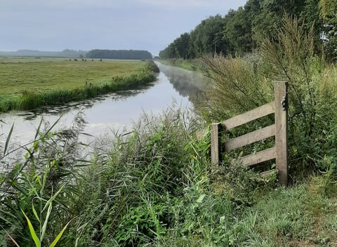 Natuurhuisje 73837 - huisje in De Knipe | Natuurhuisje.nl