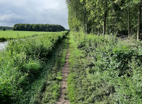 Natuurhuisje 73837 - huisje in De Knipe | Natuurhuisje.nl