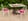 Nature house in Saint Front sur Nizonne