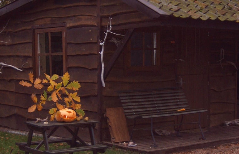 Blokhut in Vorden — foto 3