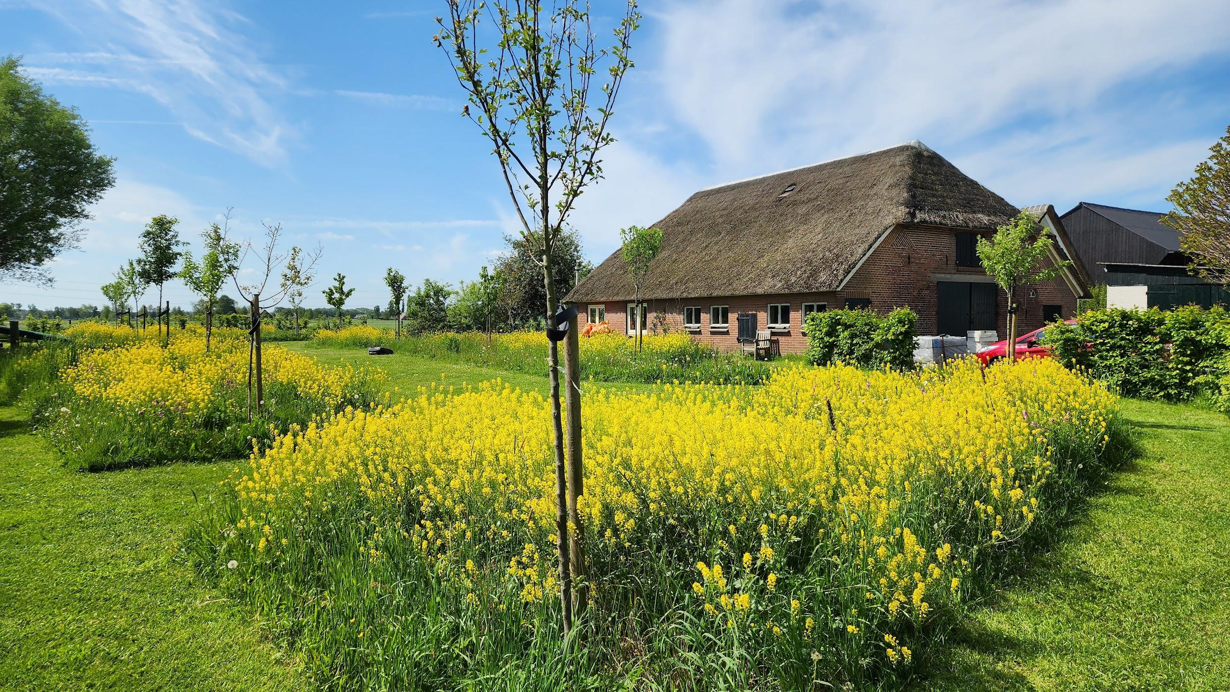 Nature house in Klarenbeek