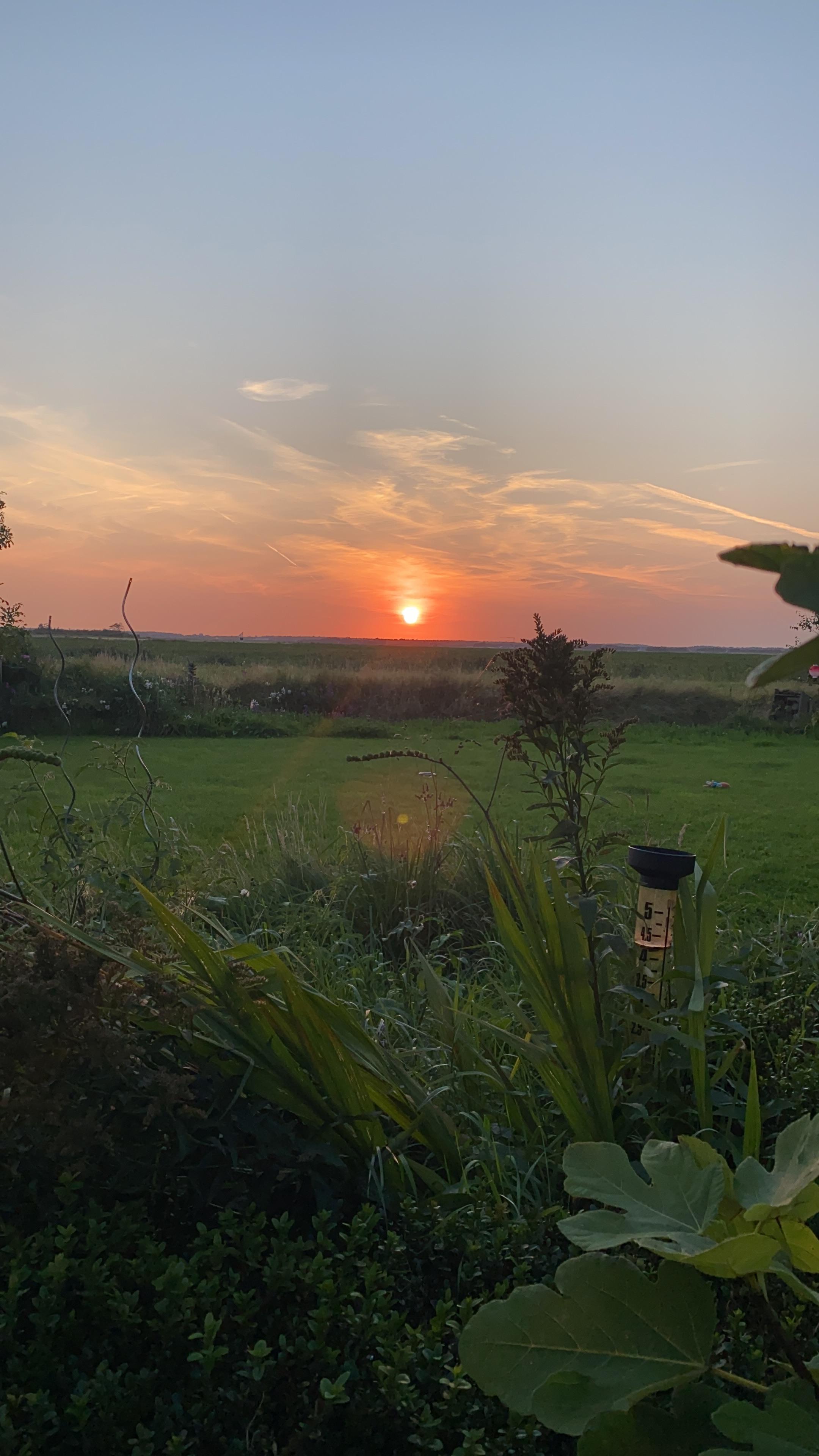 Maison nature à De Waal