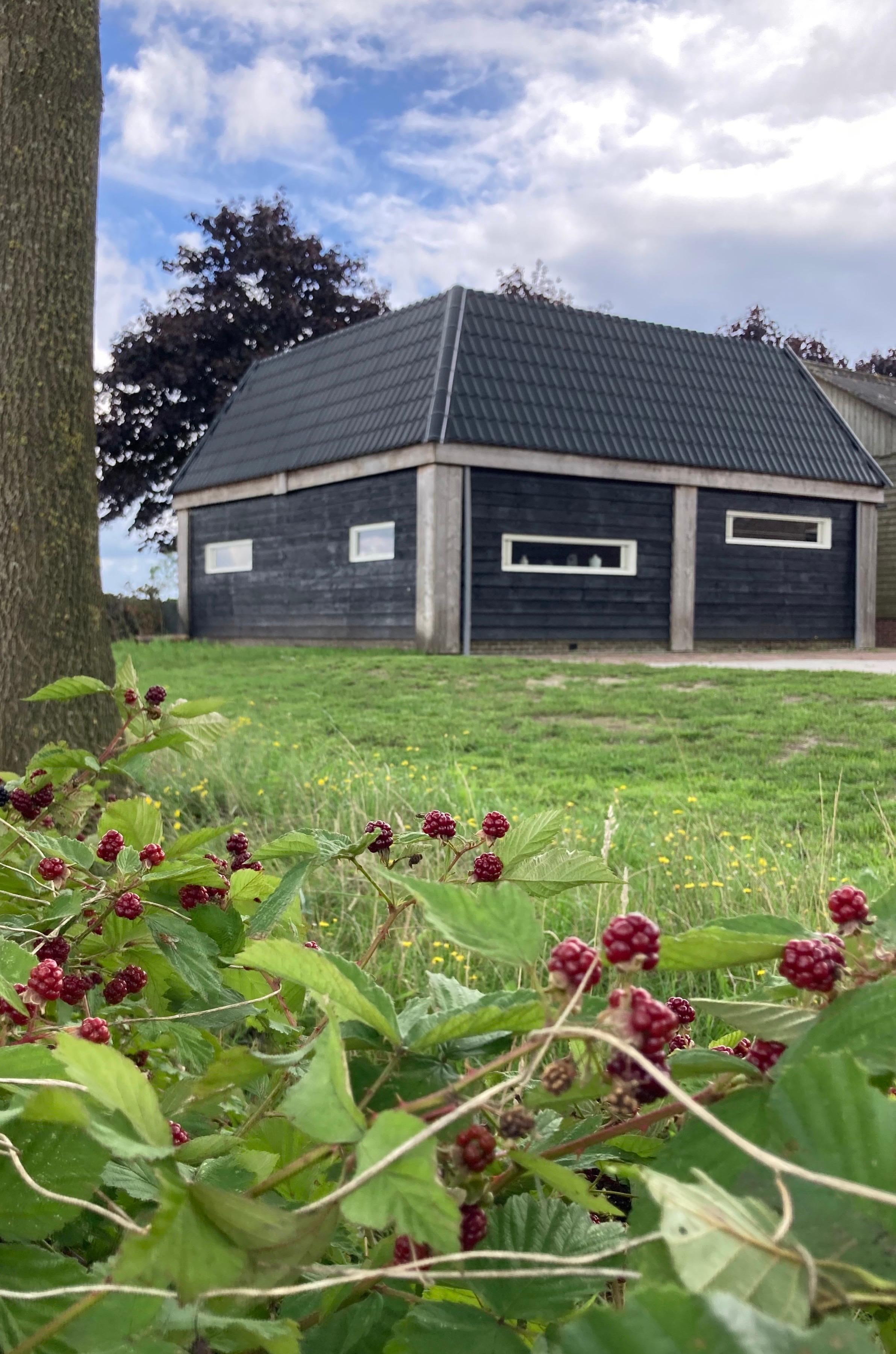 Maison nature à Vinkenbuurt