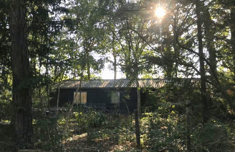 Casa nella natura a Nijkerk