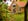 Nature house in Nunspeet