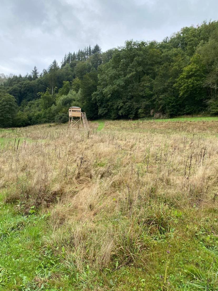 Maison nature à La roche-en-ardenne