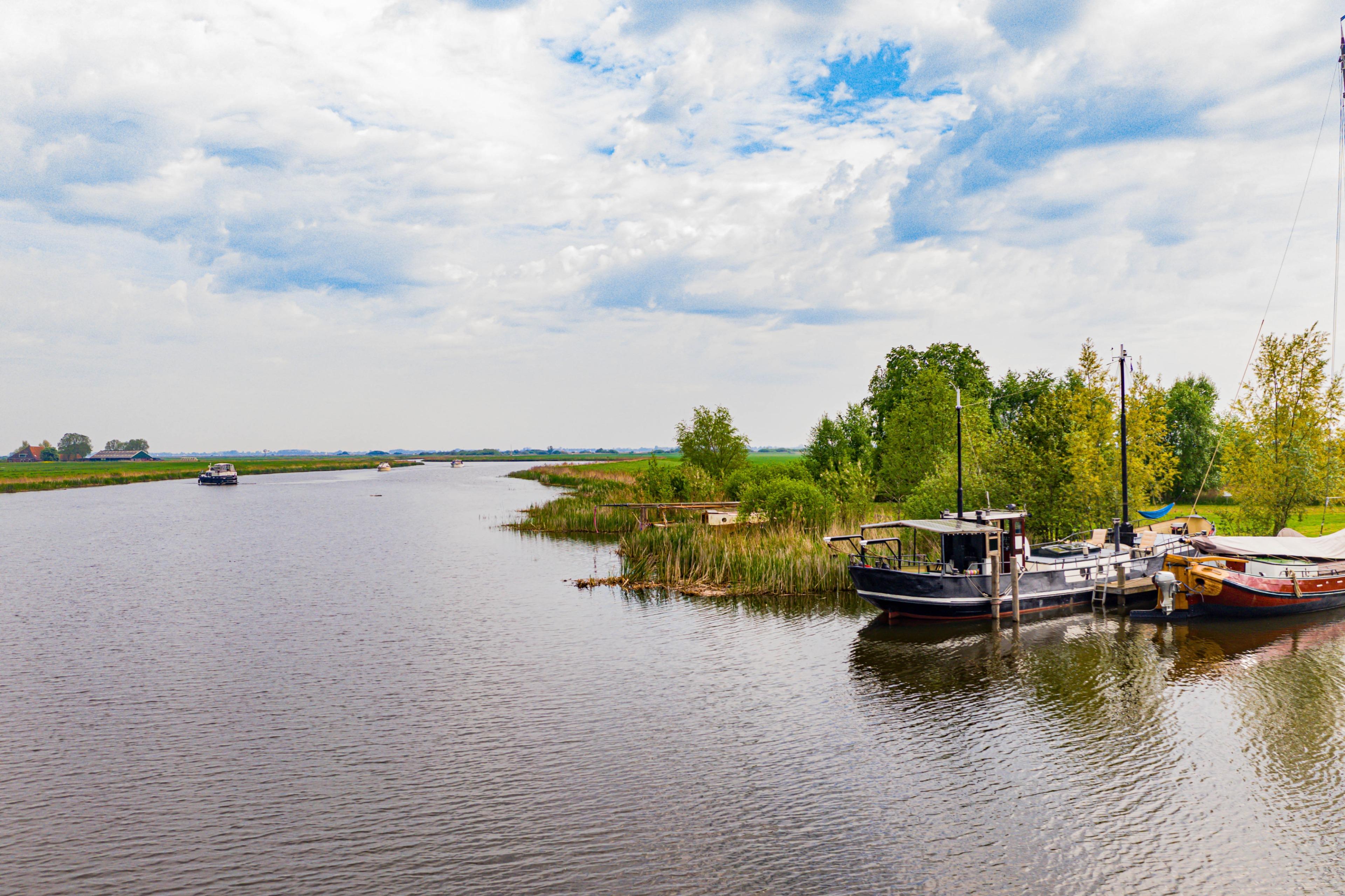 Nature house in Boornzwaag