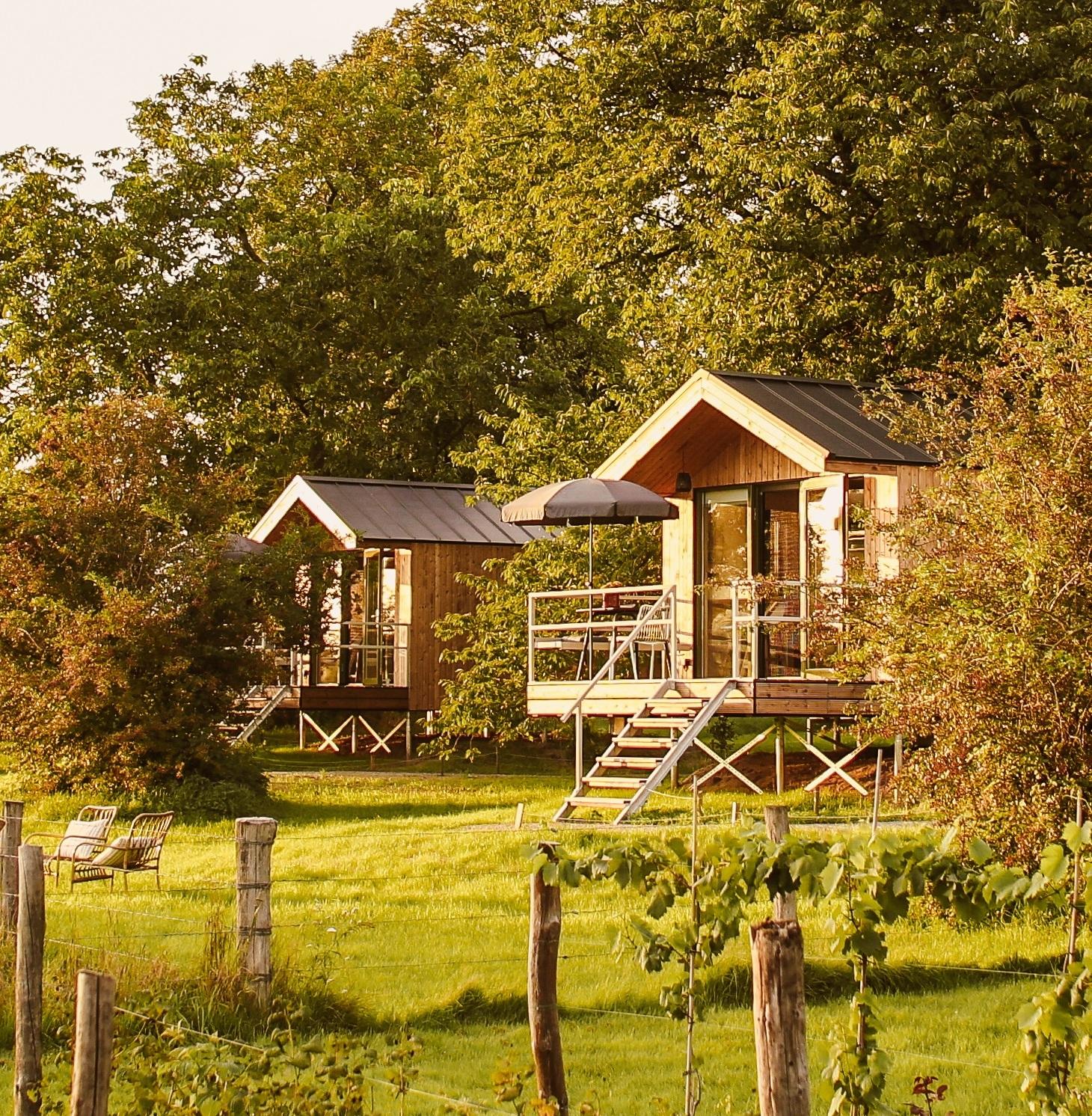 Nature house in Milsbeek