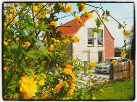 Maison nature à Ellezelles