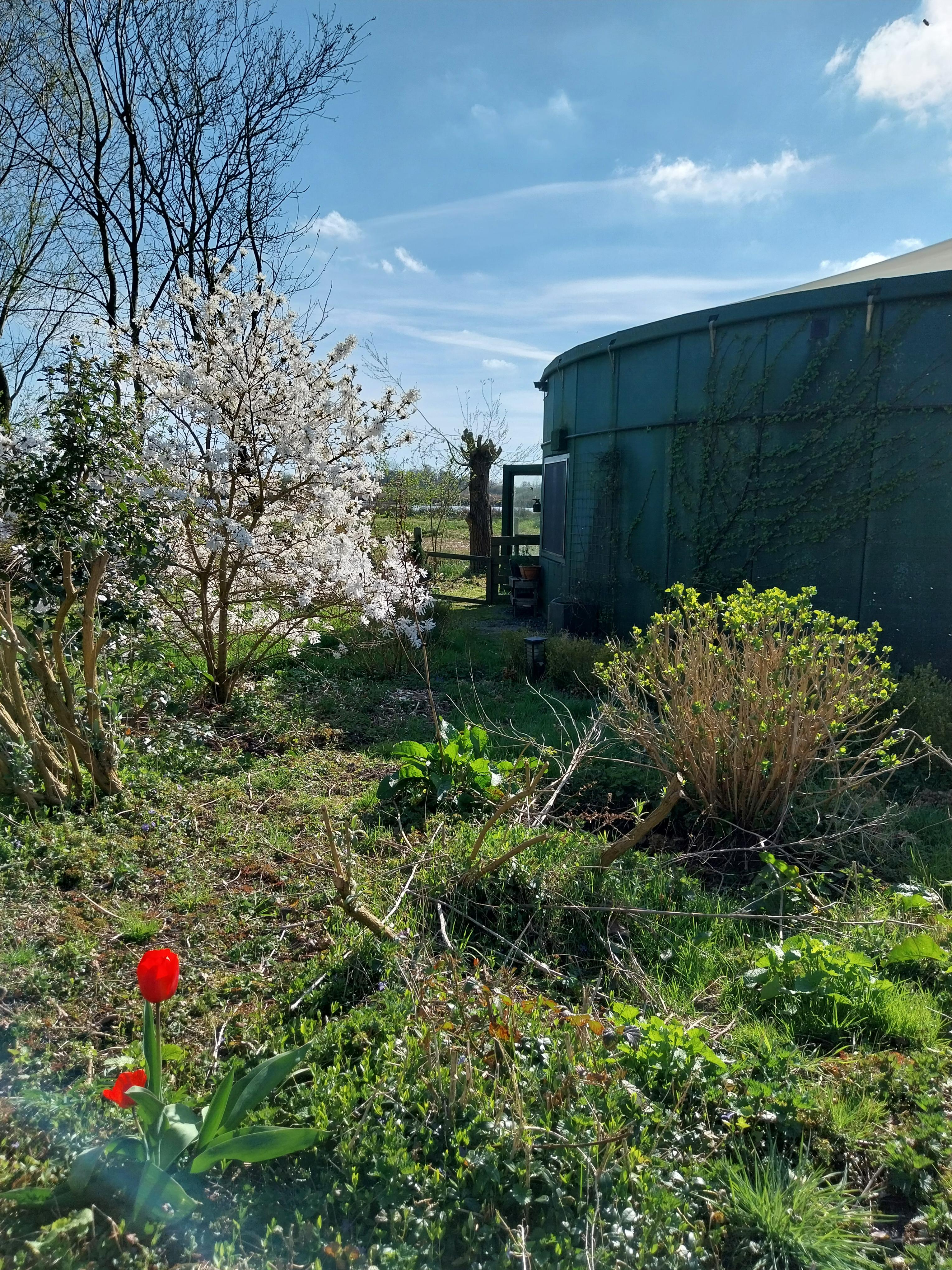 Natuurhuisje in Oudega
