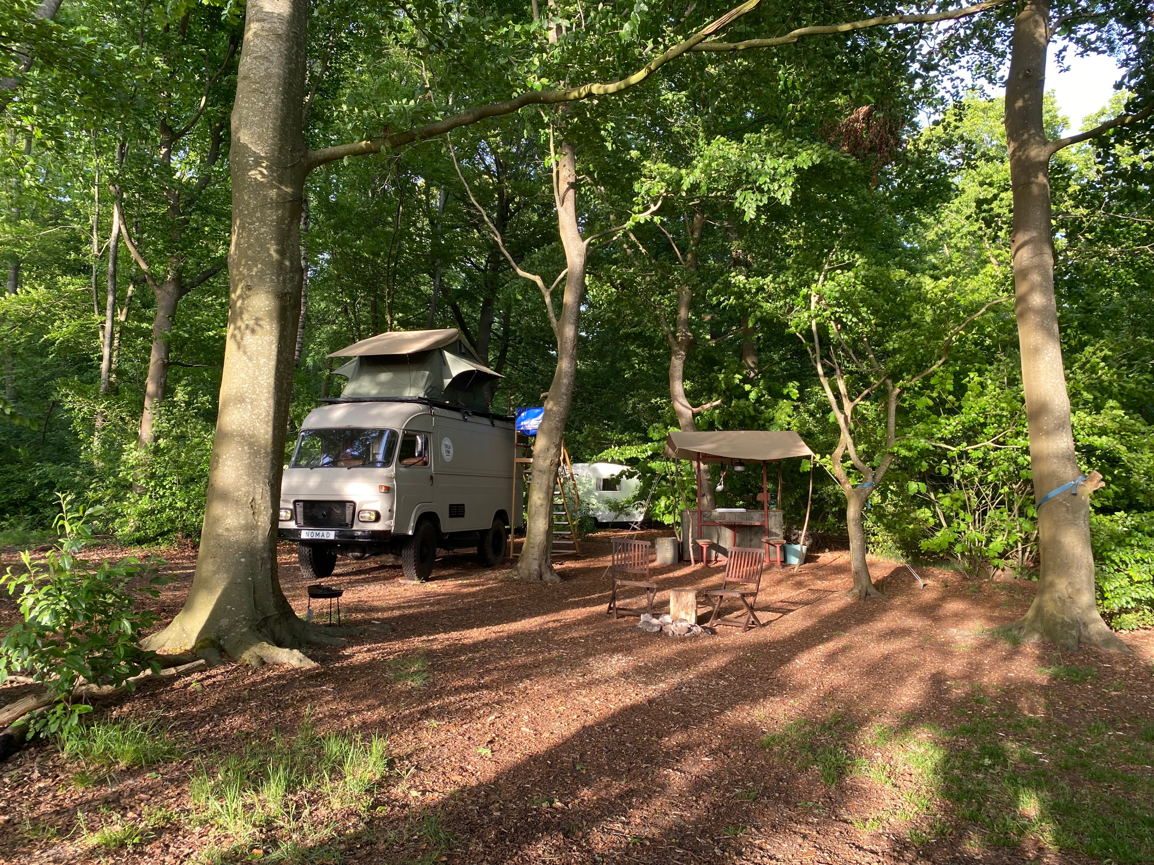 Natuurhuisje in Papenvoort