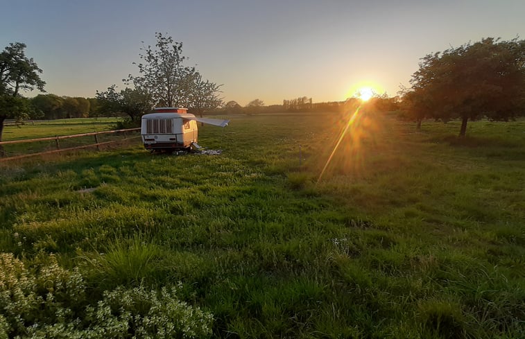 Natuurhuisje in Zelhem