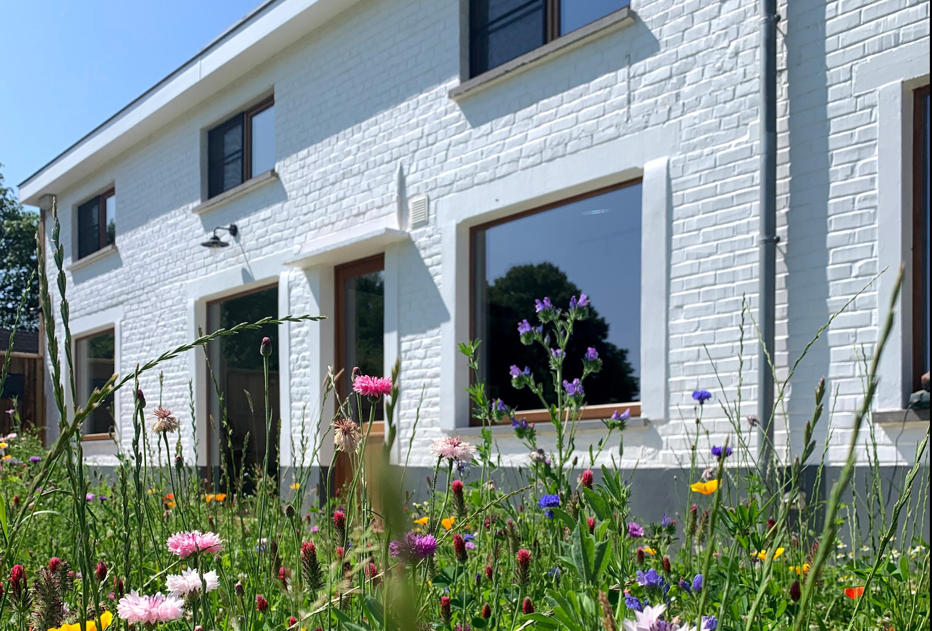 Maison nature à Zulzeke (Vlaamse Ardennen)