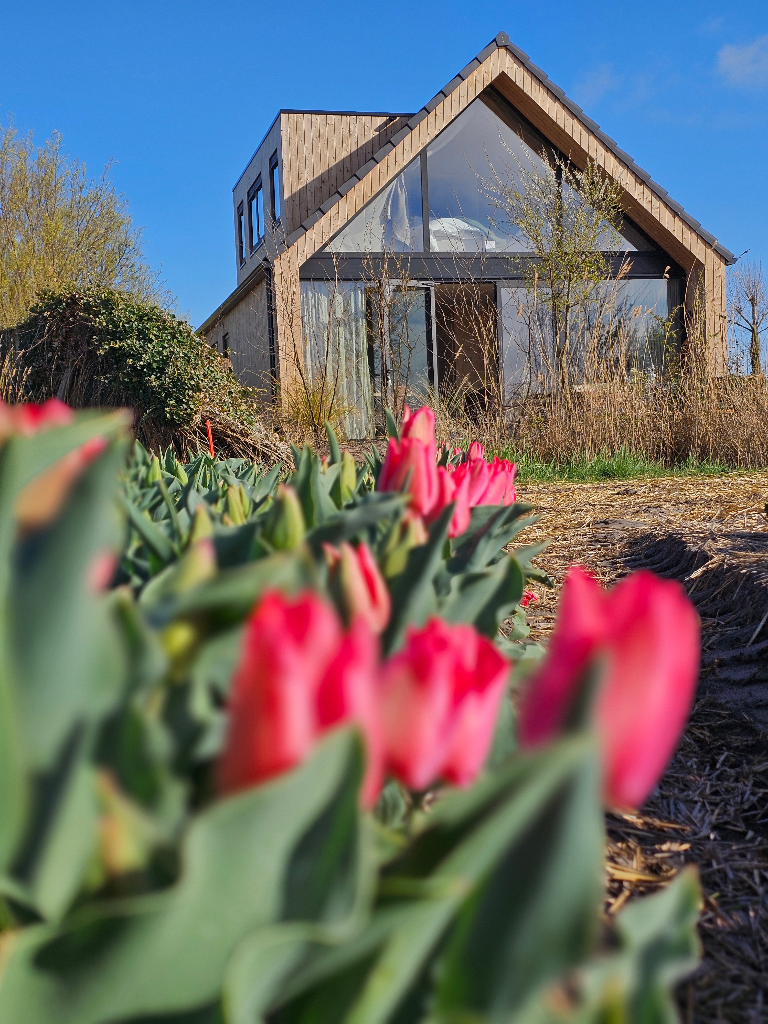 Natuurhuisje in 't Zand