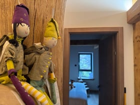 Maison nature à La Bresse